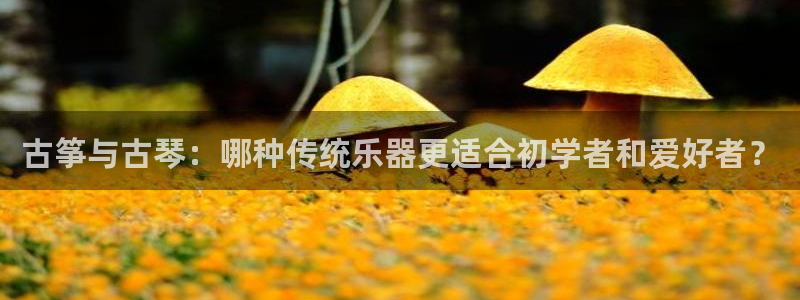 凯发k8娱乐要访问kf6819