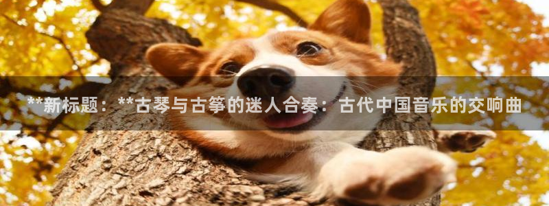 凯发网址直营