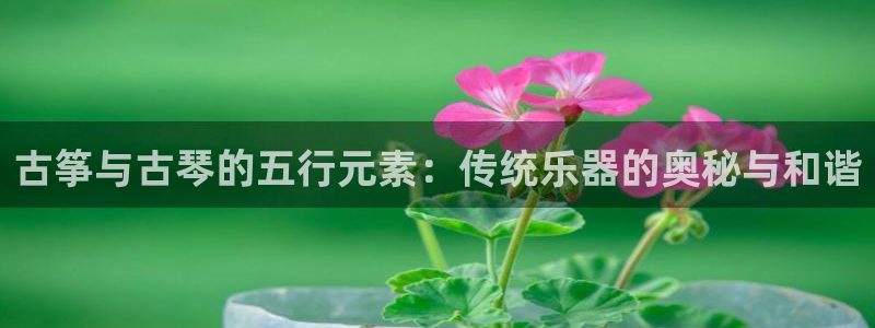 国际凯发k8真人版旗舰厅