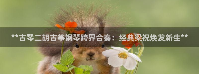 凯发旗舰网站