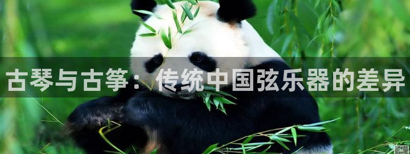 凯发唯一官方网站