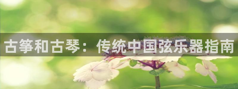 凯发k8官网下载客户端中心
