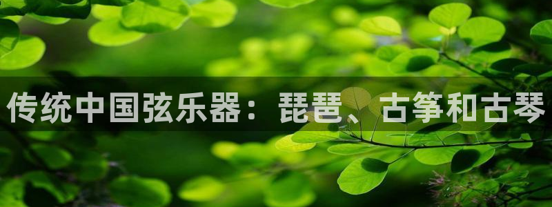 凯发旗舰