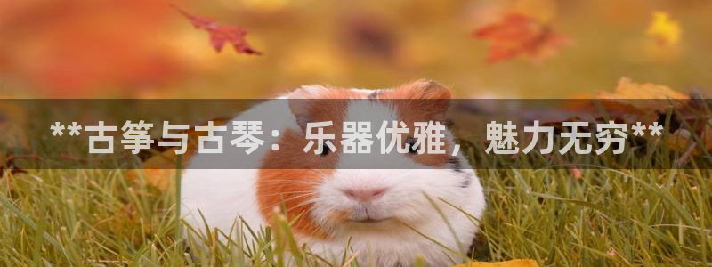 凯发网址多少