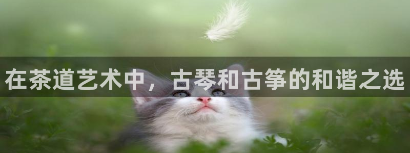 凯发app官网