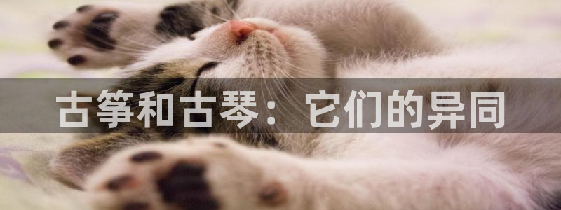 凯发k8娱乐官网地址app下载 | 首页