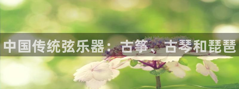 凯发官网入口首页