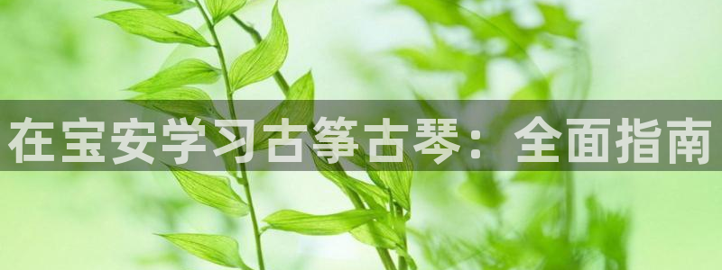 凯发k8娱乐平台