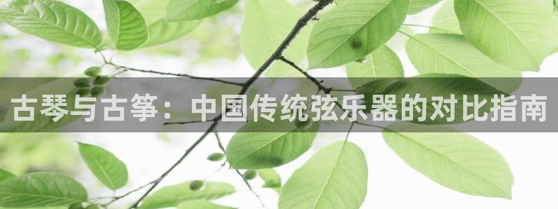 凯发官方手机app