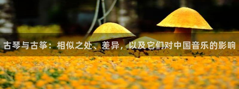 凯发官网手机app