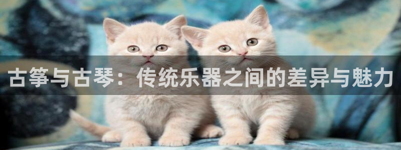 凯发平台8