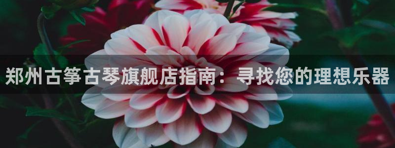 凯发国际真人