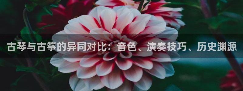 ks8凯发官方网站