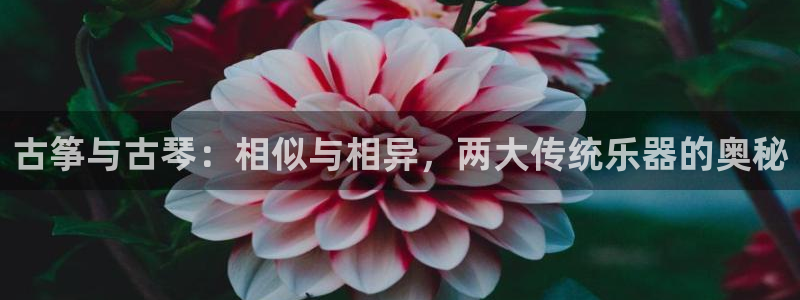 凯发k8国际真人娱乐旗舰厅