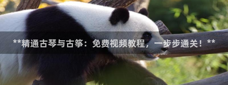 凯发app可信吗