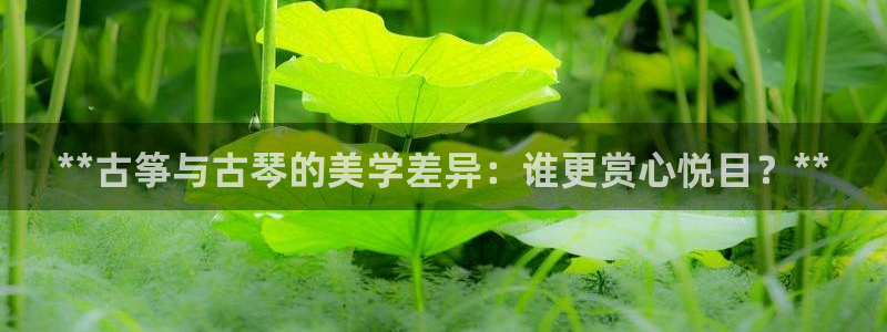 凯发k8娱乐平台能提现吗