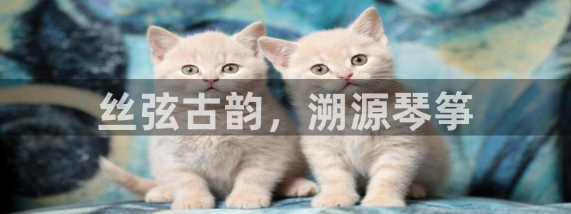 凯发旗舰客户端