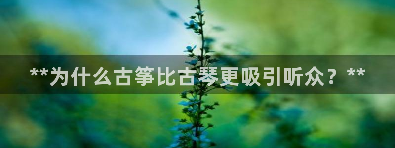 凯发国际网络平台网址