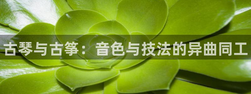 凯发旗舰客户端