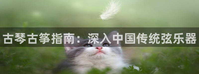 凯发k8ag旗舰厅网址