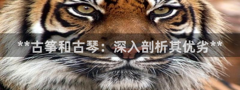 凯发k8娱乐平台能提现吗