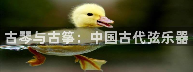 凯发k8全球公开