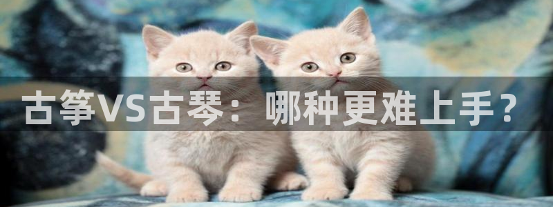 凯发官网手机app