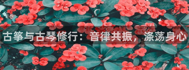 凯发官网平台