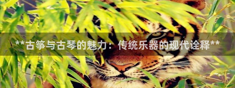 凯发国际平台