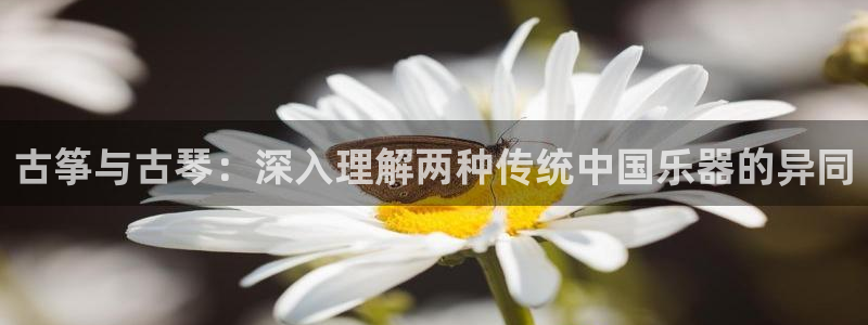 凯发k873