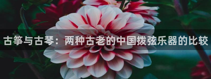 凯发国际真人