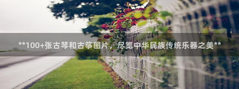 凯发k8娱乐品牌导航