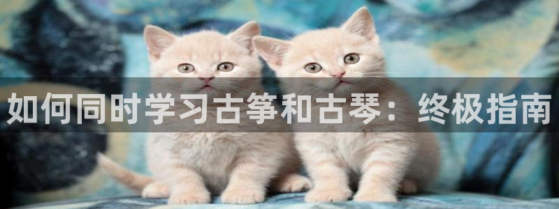 凯发平台首7O777