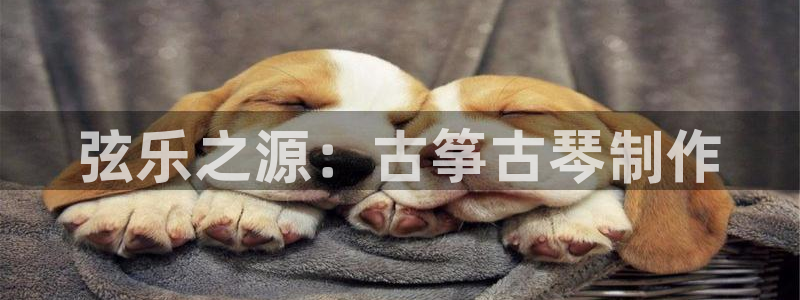 凯发k8娱乐官网网址中心
