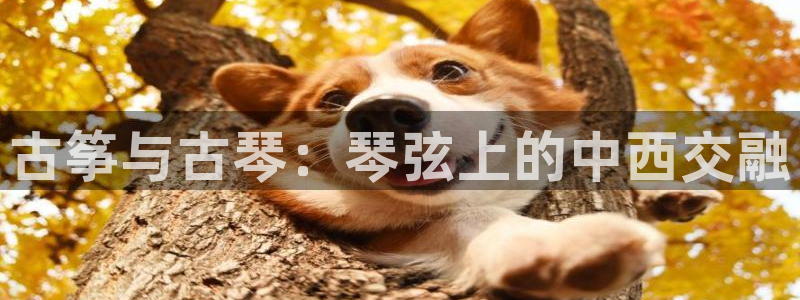凯发娱乐k8国际