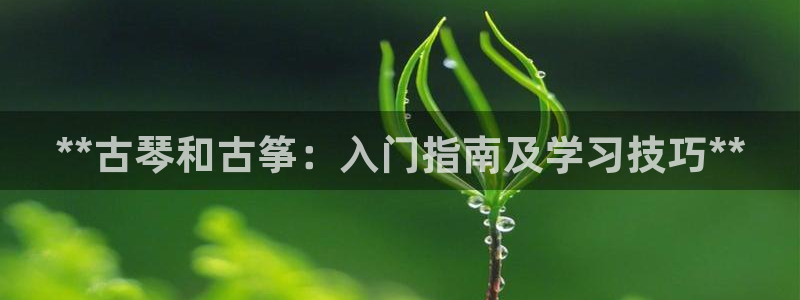 凯发在线平台官方网站