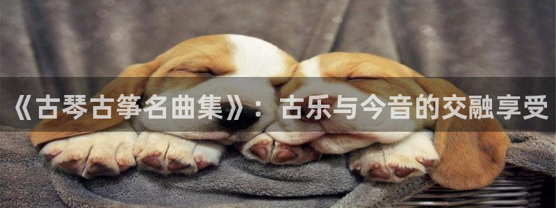凯发国际亚洲有限公司