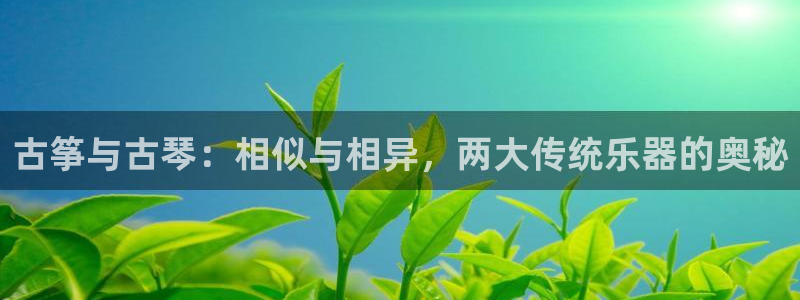 凯发k8ag85856