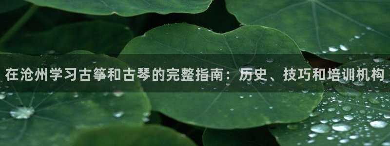 凯发k8娱乐官网网址中心