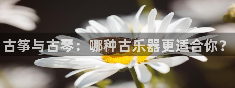 凯发k8娱乐是哪个国家的