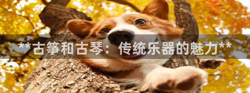 凯发k8娱乐官网网址中心
