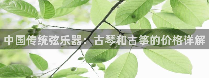 凯发k8国际娱乐版