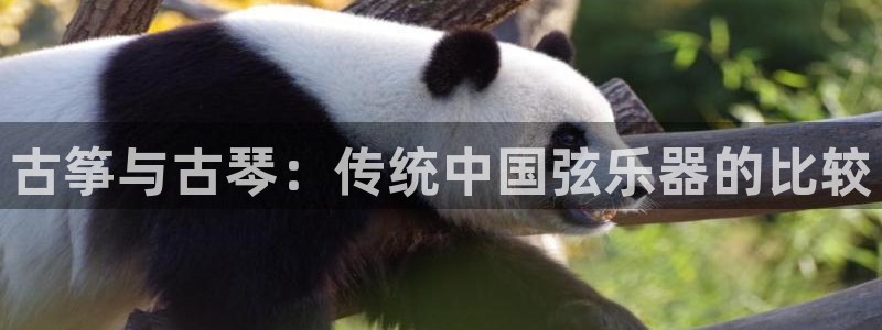 凯发k8旗舰厅手机下载