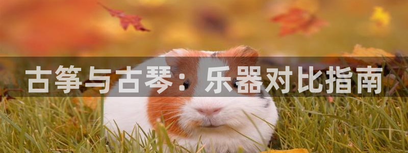 凯发平台医7O777