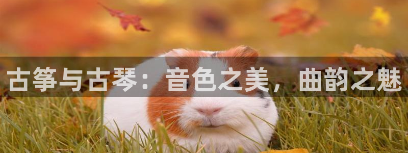 凯发k8国际app