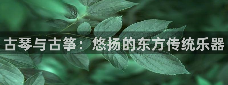 凯发k8国际 不能提款了