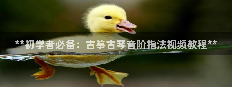 凯发旗舰厅