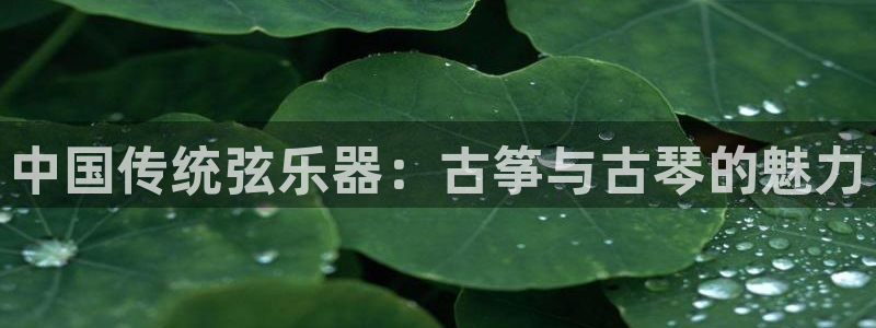凯发手机app官网