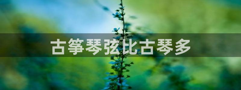 凯发国际app下载