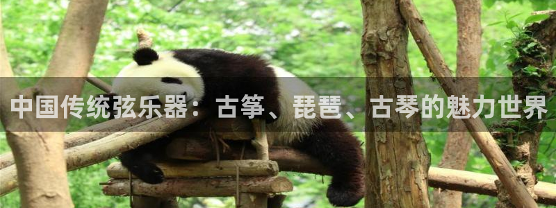 凯发平台医7O777